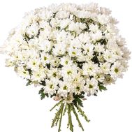 Bouquet of 21 chamomile chrysanthemums