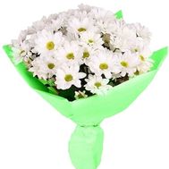 Bouquet of 9 chamomile chrysanthemums