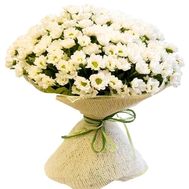 Bouquet of 31 chamomile chrysanthemums