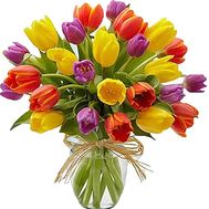 Букет из 25 тюльпанов