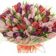 Букет із 151 тюльпан