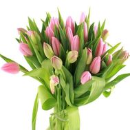 Букет из 27 розовых тюльпанов