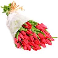 Букет из 33 тюльпанов