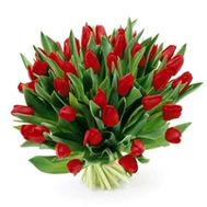 Букет из 45 красных тюльпанов