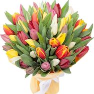 Букет из 65 тюльпанов