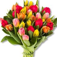 Букет из 31 тюльпана
