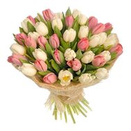 Букет из 31 белых и розовых тюльпанов