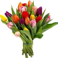 Букет из 19 тюльпанов