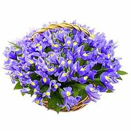 Кошик квітів з 101 ірису