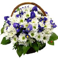 Корзина цветов из 13 хризантем и 6 ирисов