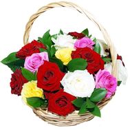 Basket of 17 roses