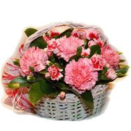 Корзинка цветов из 13 гвоздик