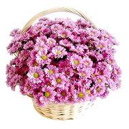 Корзинка цветов из 11 веток ромашковидной кустовой хризантемы