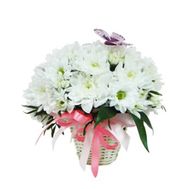 Корзинка цветов из 5 белых хризантем