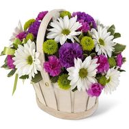 Корзинка цветов из 9 гвоздик и 10 хризантем