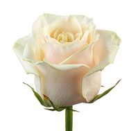 Выберите сами количество, нажав на фото