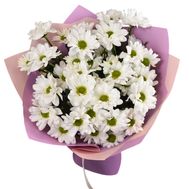 Букет із 5 ромашок