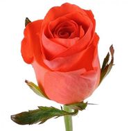 Выберите сами количество, нажав на фото