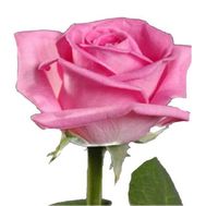 Выберите сами количество, нажав на фото