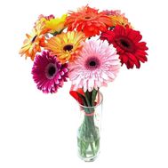 Bouquet of flowers of 13 gerberas