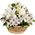 Basket of white flowers Basket of white flowers