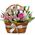 Basket with roses and alstromeries Basket with roses and alstromeries