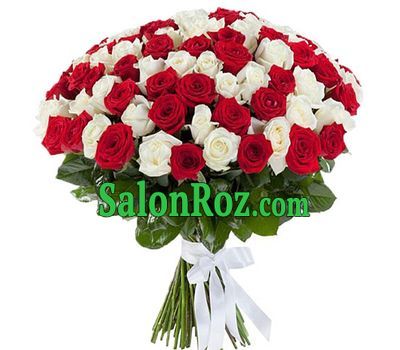 101 red and white rose 101 red and white rose