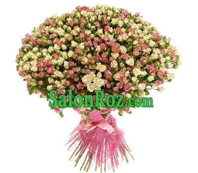 101 cluster rose 101 cluster rose