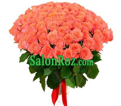 101 orange rose 101 orange rose