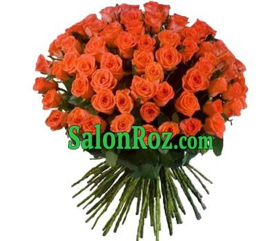 101 roses 101 roses