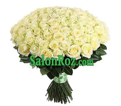 151 white rose 151 white rose