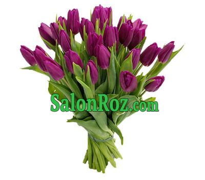 25 фиолетовых тюльпанов 25 фиолетовых тюльпанов