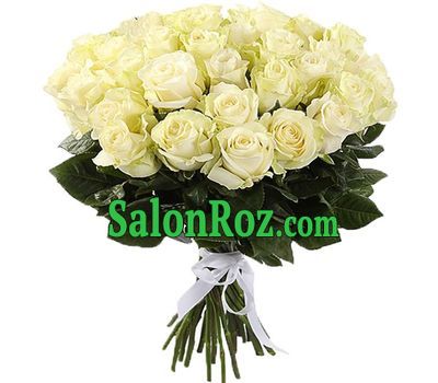 31 white imported rose 31 white imported rose