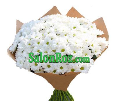 35 white daisies in a bouquet 35 white daisies in a bouquet