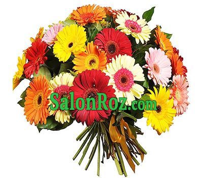 51 gerberas in bouquet 51 gerberas in bouquet