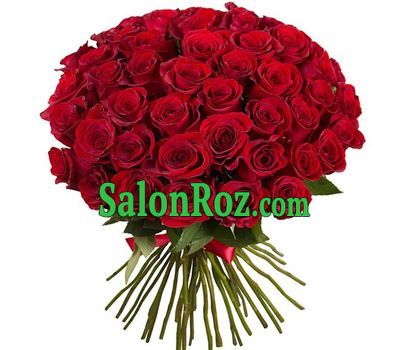 51 red imported rose 51 red imported rose
