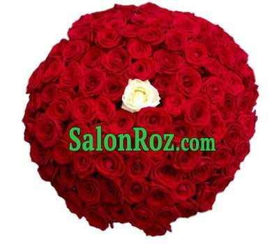 A divine bouquet of 101 roses A divine bouquet of 101 roses