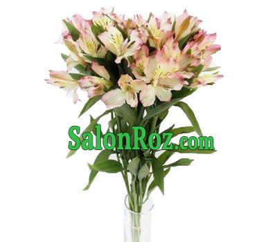Bouquet of 7 different colored alstroemerias Bouquet of 7 different colored alstroemerias