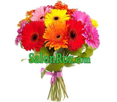 Bouquet of flowers from 23 gerberas Bouquet of flowers from 23 gerberas