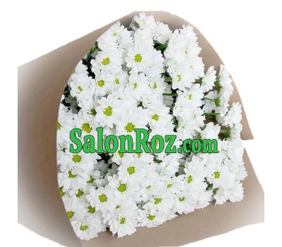 Bouquet of 13 white shrub chrysanthemums Bouquet of 13 white shrub chrysanthemums
