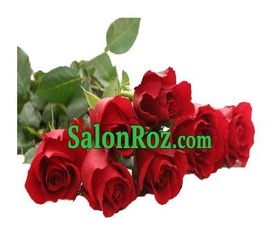 Bouquet of 7 import meter roses Bouquet of 7 import meter roses
