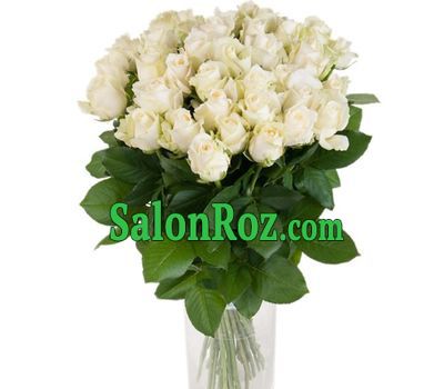 Bouquet of 33 white roses Bouquet of 33 white roses