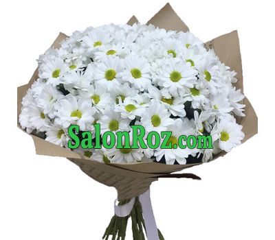 Bouquet of 19 chamomiles Bouquet of 19 chamomiles
