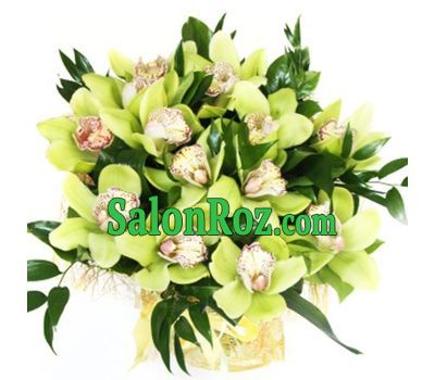 Bouquet of green orchids Bouquet of green orchids