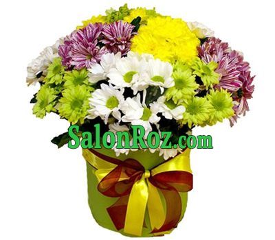 Chrysanthemums in a box Chrysanthemums in a box