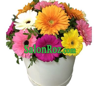 Composition from gerberas in a box Composition from gerberas in a box