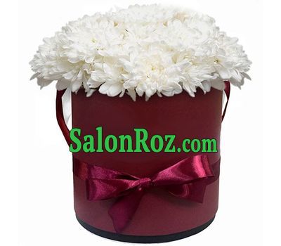 Box with white chrysanthemums Box with white chrysanthemums