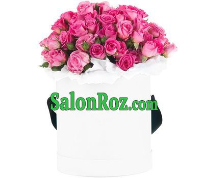 Shrub roses in the box Shrub roses in the box