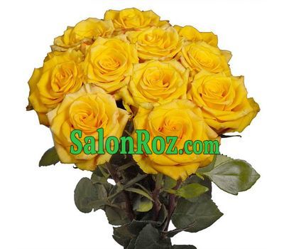 11 yellow roses 11 yellow roses