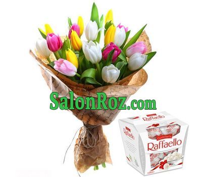 21 tulips and Rafaello 21 tulips and Rafaello